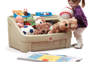 Why Do Paediatricians Advise to Choose Simple Toys for Children