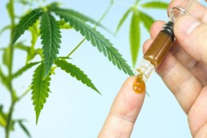 Edibles or Lose Leaf having CBD is More Beneficial to Use